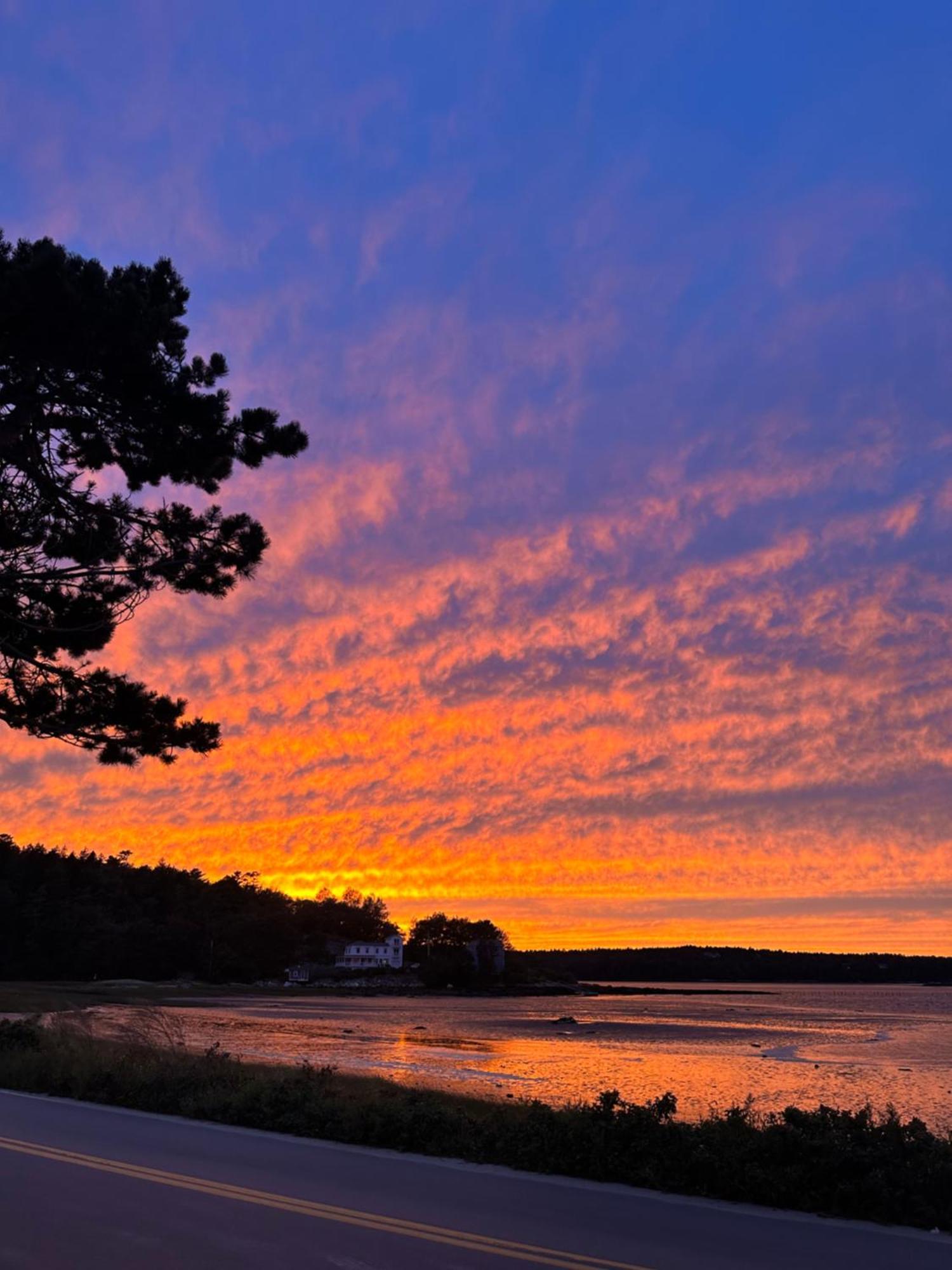 Spinneys Guesthouse & Beach Cottages Phippsburg Екстериор снимка